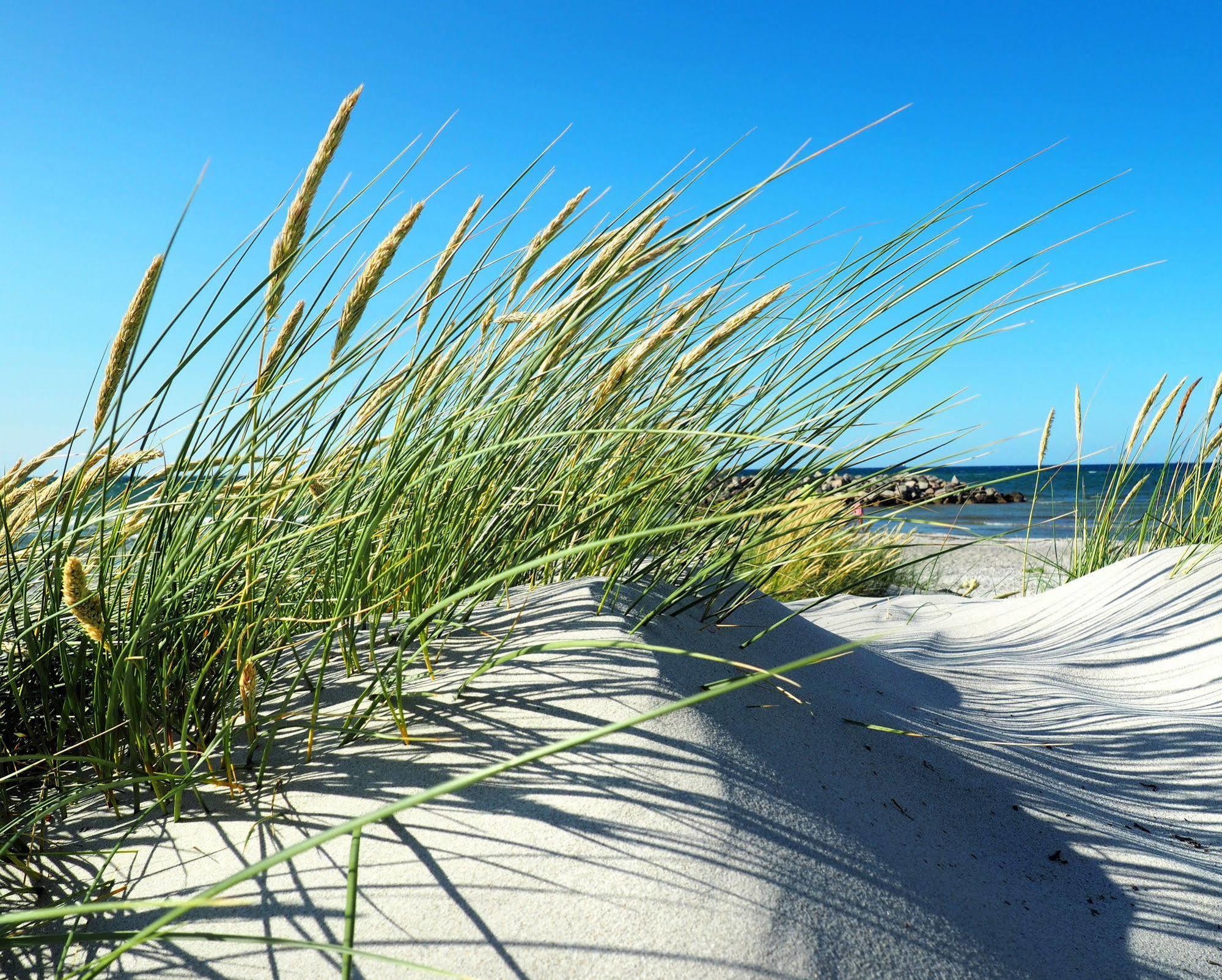 Hotel Max Am Meer Kuehlungsborn Luaran gambar